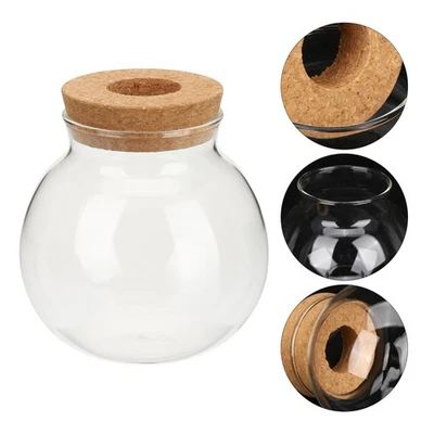  Glass Planter Übertopf Kleine Terrarium Vermehrungsvasen Hydroponik -Pflanzer - Bild 1 von 4