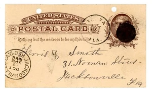 1886 Tampa FL Handwritten Postal Card Price Inquiry for Eggs & Chickens WH Adams - Picture 1 of 2