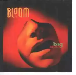 CD Bloom Big Block Zyx - Bild 1 von 1