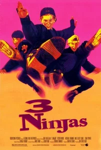 3 NINJAS Movie POSTER 27x40 B Victor Wong Michael Treanor Max Elliott Slade Chad - Picture 1 of 1