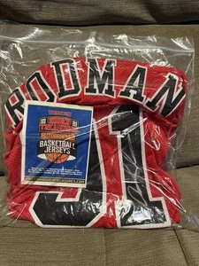 Dennis Rodman 2024 Tristar Hidden Treasures Autographed Signed Bulls Jersey - Picture 1 of 3