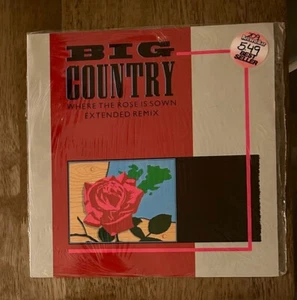 Big Country - Where The Rose Is Sown (Mercury, 1984, 12" Single) - Picture 1 of 4