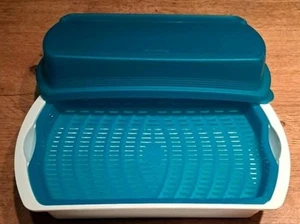 Tupperware, Four Seasons, Frische Behälter/Lunch Box mit Frischegitter - Bild 1 von 3
