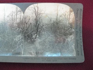 Stereoview Keystone View Company Belleau Legno Americani Germania WWI V18948 (O) - Foto 1 di 4