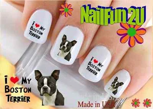 Nail Art 115A HUNDESASSE Boston Terrier Wasserrutsche Nagelaufkleber Transfers Aufkleber - Bild 1 von 2