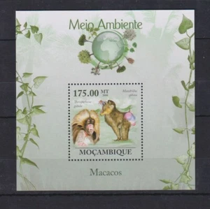 V601. Mozambique - MNH - 2010 - Naturaleza - Animales - Macacos - Bl. - Imagen 1 de 1