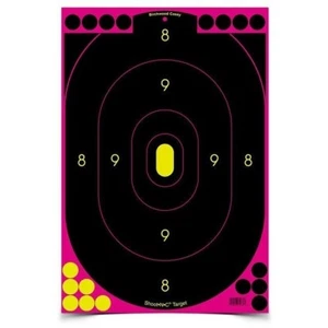 Birchwood Casey Shoot 'n' C Pink 12 x 18-Inch Silhouette Target, 18pk 324 paster - Picture 1 of 1