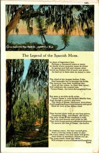 Vintage Linen Postcard Tree Legend of the Spanish Moss Poem Tropical Florida FL - Picture 1 of 2