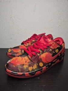 The Wizard of Oz × Nike SB Dunk Low Pro Poppy Field FZ1291-600 Size 10 NEW - Picture 1 of 10