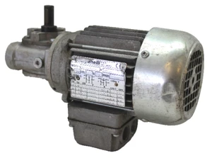 Carpanelli Motors MOT3-M56B4-TROP., 50/60Hz, 0.15HP, 255/440V, 0.77A, 1660RPM - Picture 1 of 4