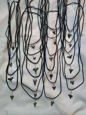 Handmade Authentic Wire Wrapped Sharks Teeth Pendant Necklace - High Quality - Image 1 of 4