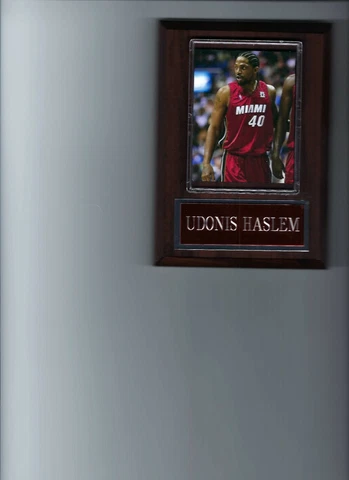 UDONIS HASLEM PLAQUE MIAMI HEAT BASKETBALL NBA DUNKING Cover