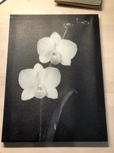 Bild Wandbild Blumen Orchideen schwarz weiß ca. 40,5 x 30,5 x 1,5 cm Leinwand - Bild 1 von 3