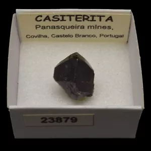 CASITERITA xx (Panasqueira mines, Castelo Branco, Portugal) #23879 / Cassiterite - Bild 1 von 1