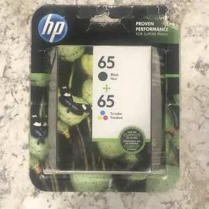 HP 65 Confezione da 2 Cartucce di Inchiostro Combo Nero e Tricolore HP65 Originali SCAD 11/2019 - Foto 1 di 7