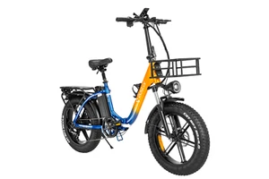 26 Zoll E-bike Ridstar MN-20 48V 15Ah E-Mountainbike 1000W Faltbares E-Bike - Bild 1 von 2