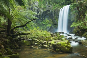 Fotomural de fieltro CASCADA (2731S) río lago bosque roca arroyo flores bosque sol - Imagen 1 de 1
