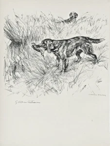 GOLDEN RETRIEVER LOVELY OLD 1938 DOG ART PRINT by VERNON STOKES - Picture 1 of 1