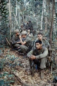 Vietnam War U.S. Army Troops In The Middle Of The Trees 8x10 Picture Celebrity P - Picture 1 of 1