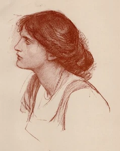 Encantadora impresión antigua de John Waterhouse "El estudio de la belleza joven" enmarcada certificado de autenticidad - Imagen 1 de 2