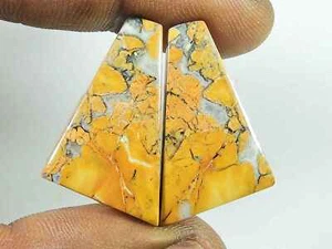 29Cts. Natural Maligano Jasper (18mm X 27mm each) Fancy Cabochon Match Pair E881 - Bild 1 von 9