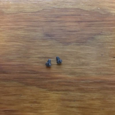 FOR SCHWINN SCHWINN VINTAGE STYLE BICYCLE HEAD BADGE SCREWS - ONE PAIR - NAME PLATES SCREWS