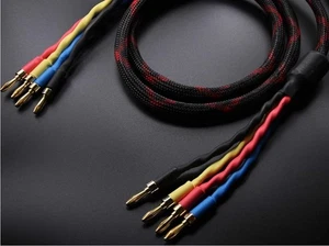 KK Cable HM-KN Cavo per Altoparlanti, 2.5M (8.2ft) PER Filo, 16 Spine a Banana, Nero,... - Foto 1 di 3