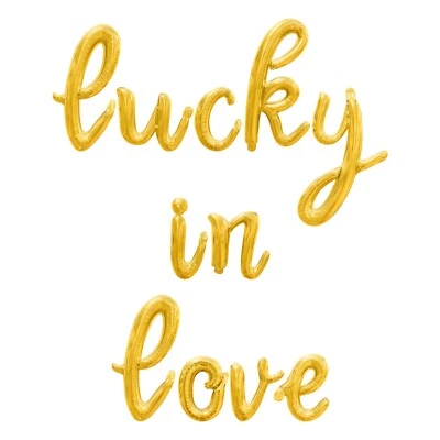 Lucky In Love Cursive 信气球横幅 - DIY 单身女郎派对装饰 — 第 1/4 张图片