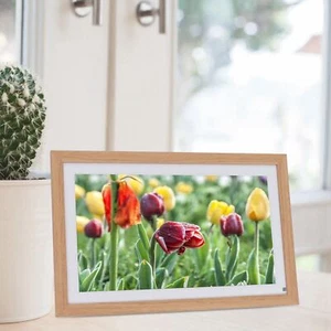 (Prise UE)15.6 Inch Digital Photo Frame Smart WIFI Touch Screen Photo Frame AU - Picture 1 of 12