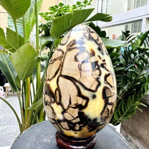 8.58LB Natural Turtle Back Stone Egg Shape Dragon Crystal Crack Mineral specimen - Picture 1 of 19