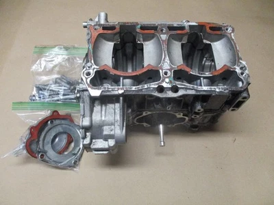 Картер двигателя Ski doo 2019 Rev Freeride 850 Etec MXZ Summit 17 18 19 20 чехлов - Изображение 1 из 4