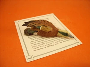 DANBURY MINT THE WILDFOWL SHOWCASE COLLECTION AMERICAN WIDGEON DRAKE  "Fischione - Imagen 1 de 3