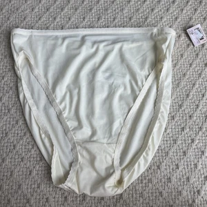 VTG CABERNET 9/2xl Semi Sheer Silky Nylon Hi Cut Brief Panties #1010 NWT - Picture 1 of 7