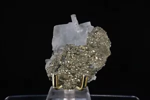 Blauer Baryt auf Pyrit / Cavnic Mine, Rumänien / feines Mineralpräparat - Bild 1 von 9