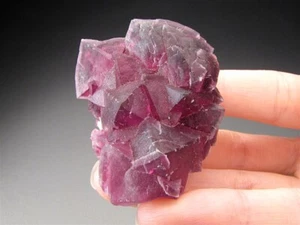 Fluorite Judith Lynn Claim Pine Canyon Deposit Burro Mts. District New Mexico - Picture 1 of 3