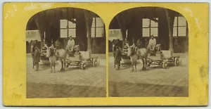 Stéréo 1860-70. Conducteur d'attelage attendant le départ. Cheval. Paris ? - Imagen 1 de 2