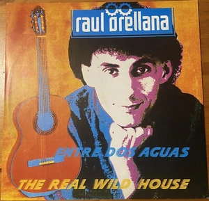 LP MUSICA RAÚL ORELLANA ENTRE DOS AGUAS REAL WILD HOUSE - Foto 1 di 3