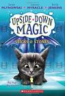 UPSIDE DOWN MAGIC #2: Stöcke und Steine von Sarah Mlynowski Taschenbuch Buch