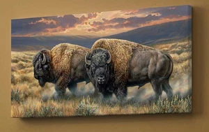Rosemary Millette Dusty Plains - Bison Open Edition Wrapped Canvas 36x18 - Picture 1 of 1