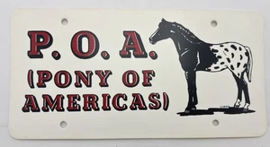 License Plate Pony of Americas Horse Equestrian  Art - Picture 1 of 1