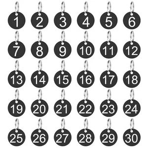 30 Pack 1-30 Plastic Numbers Tags with Key Rings Numbered Keychain Tags for D... - Picture 1 of 6