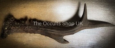THE OCCULTS SHOP UK BLACK DEER ANTLER Charm Pendant Talisman Celtic Pagan Wicca Witch Wand Magik Tri