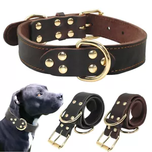 Heavy Duty Genuine Leather Dog Collar for Large Dogs Rottweiler Mastiff Pitbull - Picture 1 of 20