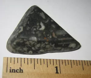 1,5" TROMMEL NATÜRLICHER CRINOID MARMOR FOSSILER STEIN VOM MEERESBODEN ~ 12,3g *4 - Bild 1 von 2