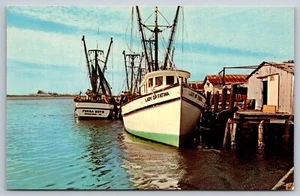 Postal Georgia Brunswick barcos de pesca y camarón 5T - Imagen 1 de 2