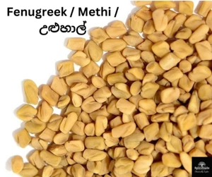 Fenugreek whole Seeds | Methi | උළුහාල් Pure Organic 50g to 1.8kg Free Ship - Picture 1 of 9
