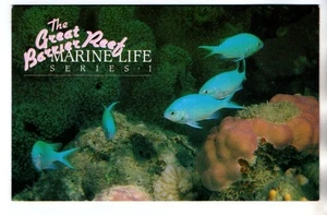 Australia 1984 Marine Life I SG919, 924-25, 929-30, 935 in Post Office Pack MNH - Picture 1 of 2