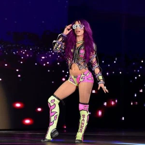 BEAUTIFUL WWE DIVA SASHA BANKS 8X10 PHOTO W/BORDERS W/ COA ECW - Picture 1 of 1