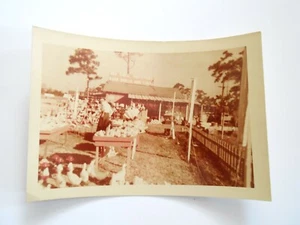 Vintage Rare May 25 1953 Seashell Industries and Coral RPPC Florida - Bild 1 von 3