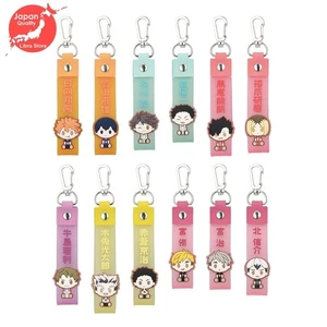 Haikyuu 10 Aniversario Kuji 2024 Dije Juego Completo de 12 de JAPÓN - Imagen 1 de 2